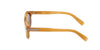 #colour_shiny-light-brown-brown