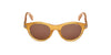 #colour_shiny-light-brown-brown