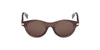 #colour_shiny-dark-brown-brown