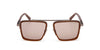 #colour_shiny-dark-brown-brown