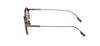 #colour_havana-striped-matte-light-ruthenium-brown