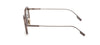 #colour_shiny-light-brown-matte-light-bronze-brown