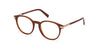 #colour_shiny-dark-brown