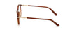 #colour_shiny-dark-brown