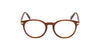 #colour_shiny-dark-brown