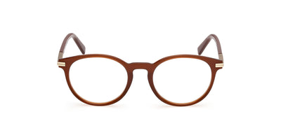 #colour_shiny-dark-brown