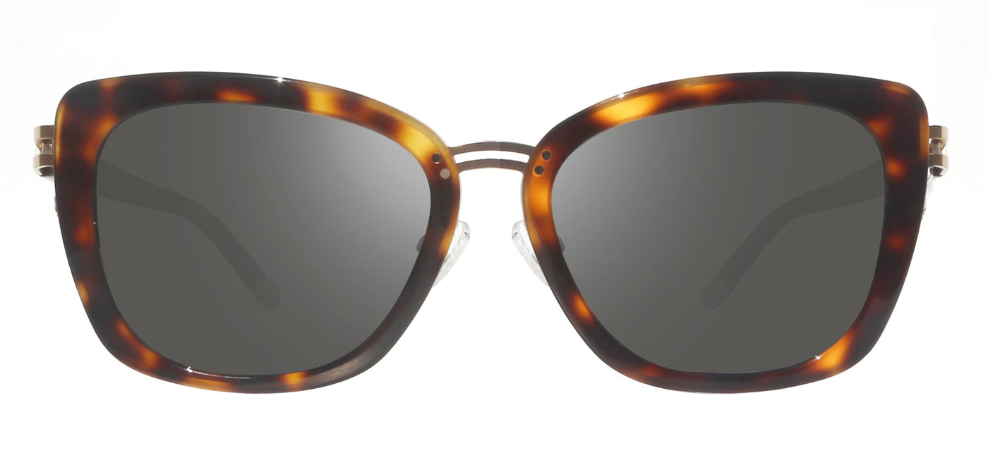 #colour_shiny-tortoise-graphite-polarised
