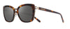#colour_shiny-tortoise-graphite-polarised
