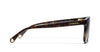 #colour_dark-havana-brown-gradient-polarised