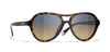 #colour_dark-havana-brown-gradient-polarised
