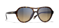 #colour_dark-havana-brown-gradient-polarised