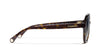 #colour_dark-havana-brown-gradient-polarised