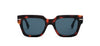 #colour_light-tortoise
