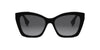 #colour_shiny-black