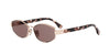 Fendi Tube FE40216U#colour_brown-gold-brown