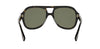 Fendi Five Sisters FE40232I#colour_havana-green