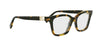 FendiBaguetteFE50153I#colour_havana