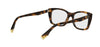 FendiWAYFE50155I#colour_havana