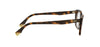 FendiWAYFE50155I#colour_havana