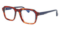 #colour_turtle-tortoise