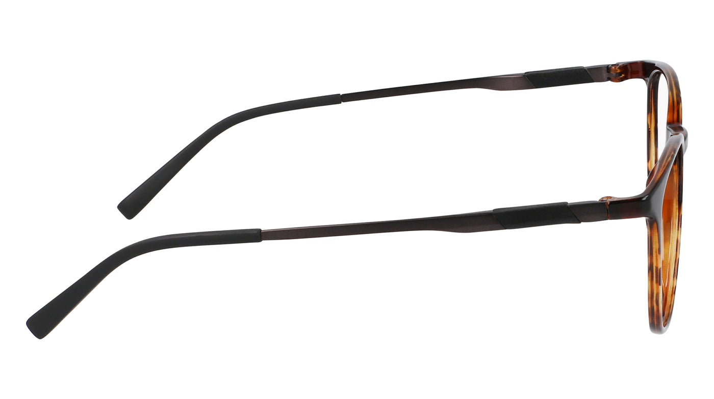#colour_shiny-dark-tortoise