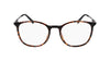 #colour_shiny-dark-tortoise
