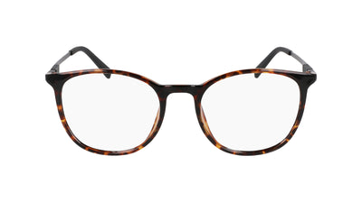 #colour_shiny-dark-tortoise