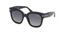 #colour_shiny-black-brown-polarised