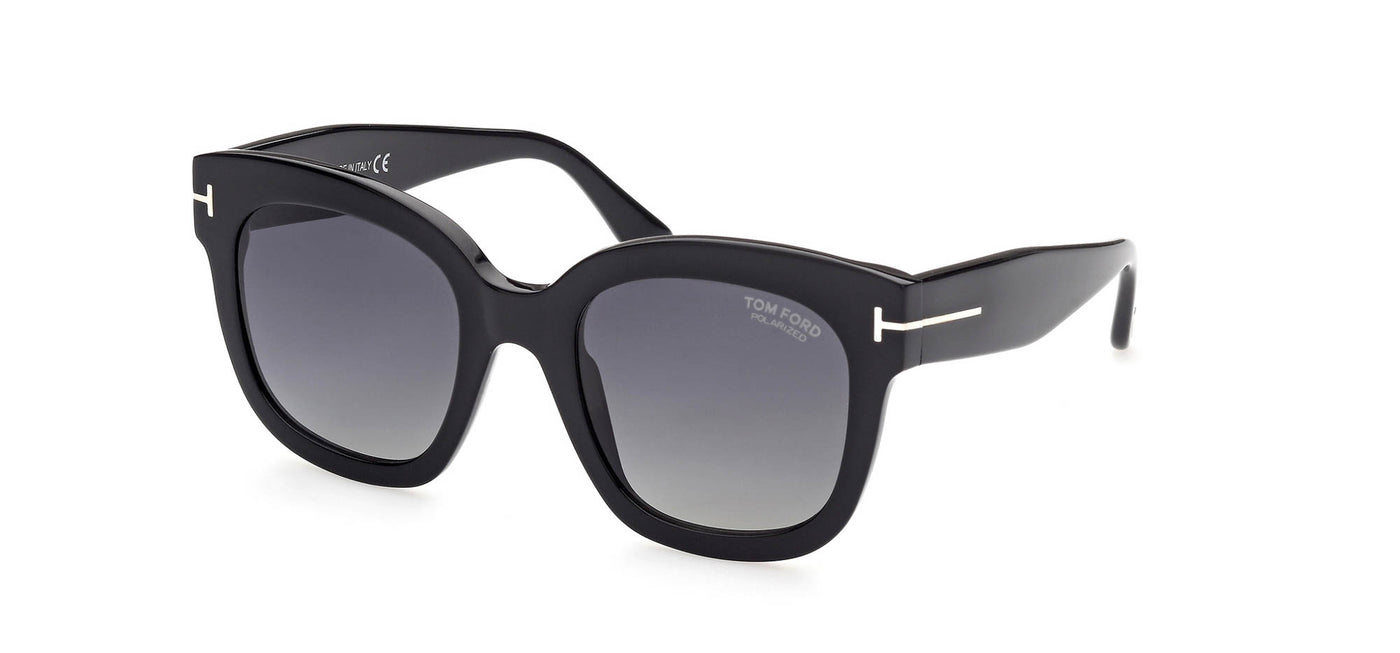 #colour_shiny-black-brown-polarised