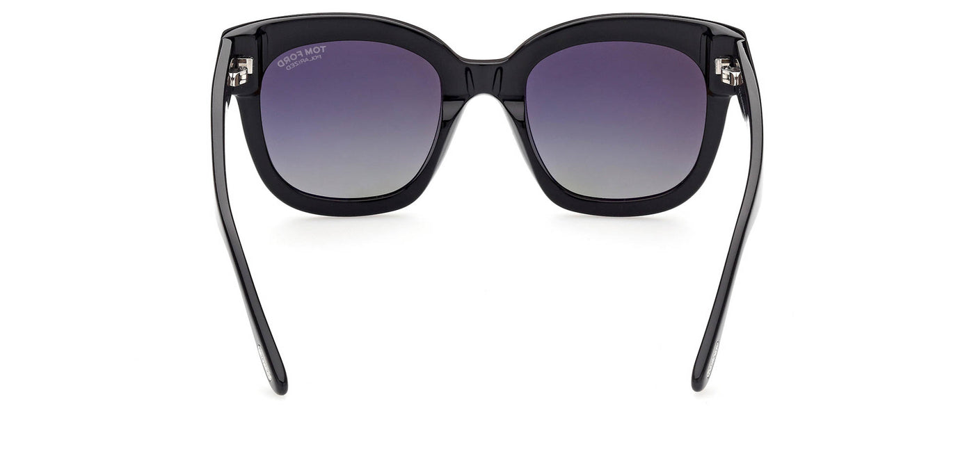 #colour_shiny-black-brown-polarised