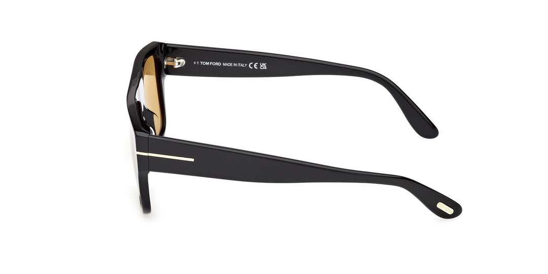 Tom Ford Dunning-02 TF907 Rectangle Sunglasses | Fashion Eyewear US