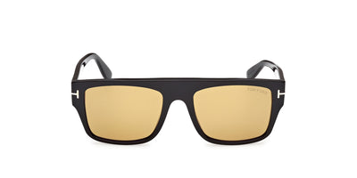 #colour_shiny-black-brown