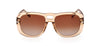 #colour_shiny-light-brown-brown-gradient