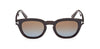 #colour_brown-horn-brown-gradient