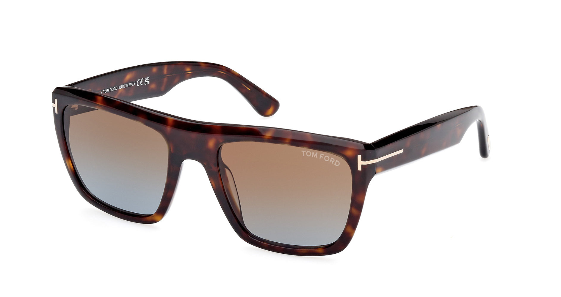 Tom Ford Alberto TF1077 Square Sunglasses | Fashion Eyewear AU