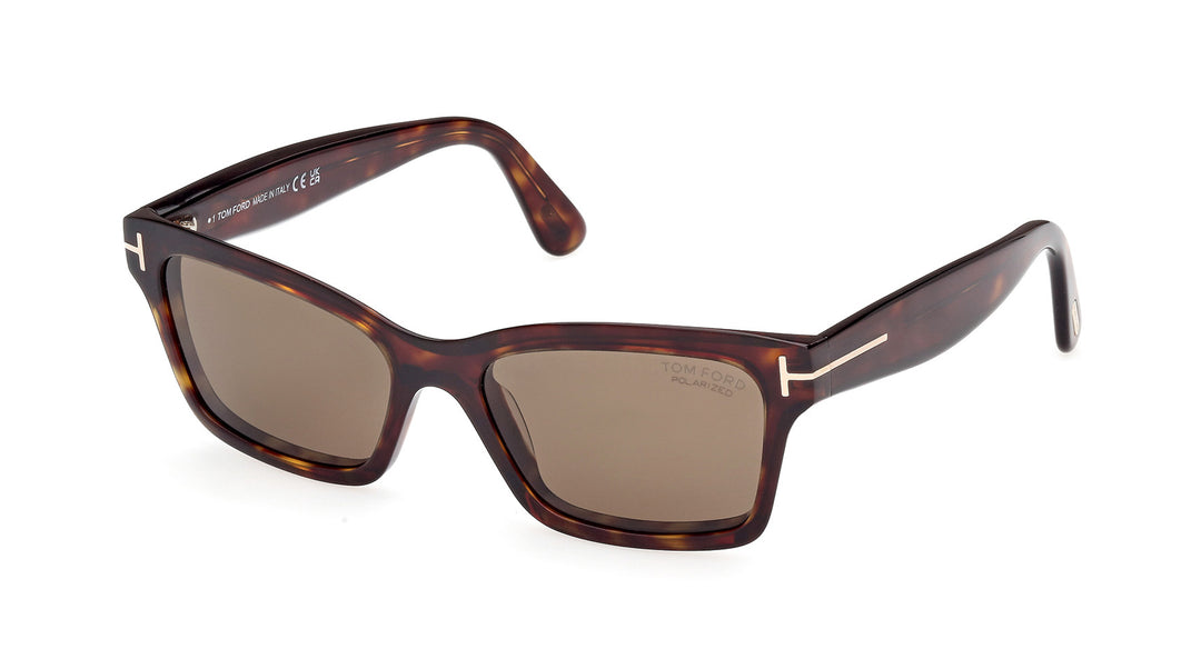 Tom Ford Mikel TF1085 Square Sunglasses | Fashion Eyewear US