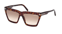 #colour_dark-havana-brown-gradient