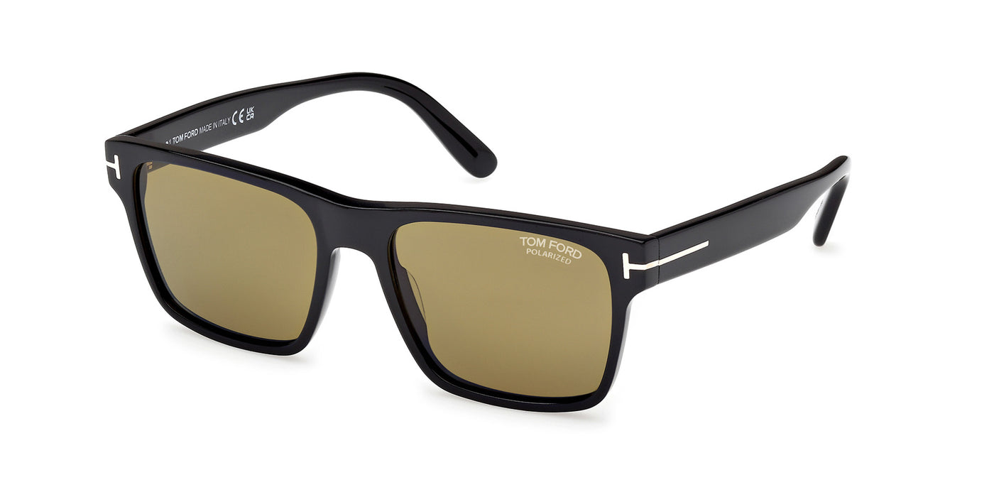 #colour_shiny-black-brown-polarised
