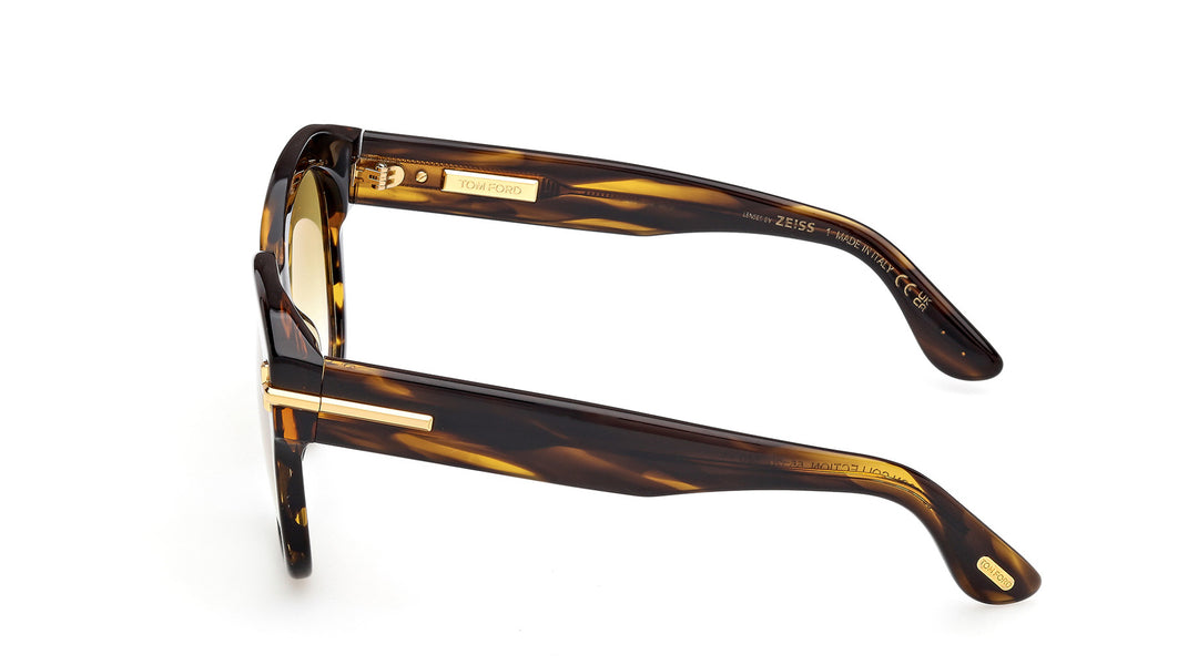 Tom Ford Icon TF1235 Square Sunglasses | Fashion Eyewear US