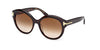 #colour_dark-havana-brown-gradient