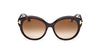 #colour_dark-havana-brown-gradient