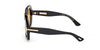 #colour_shiny-black-brown