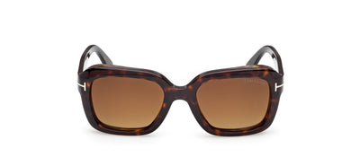 #colour_dark-havana-brown-gradient