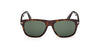 #colour_dark-havana-green