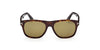 #colour_dark-havana-green-polarised