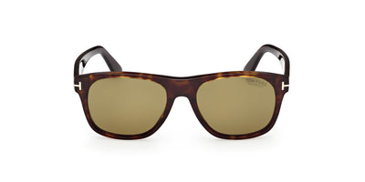 #colour_dark-havana-green-polarised