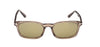 #colour_shiny-light-brown-green
