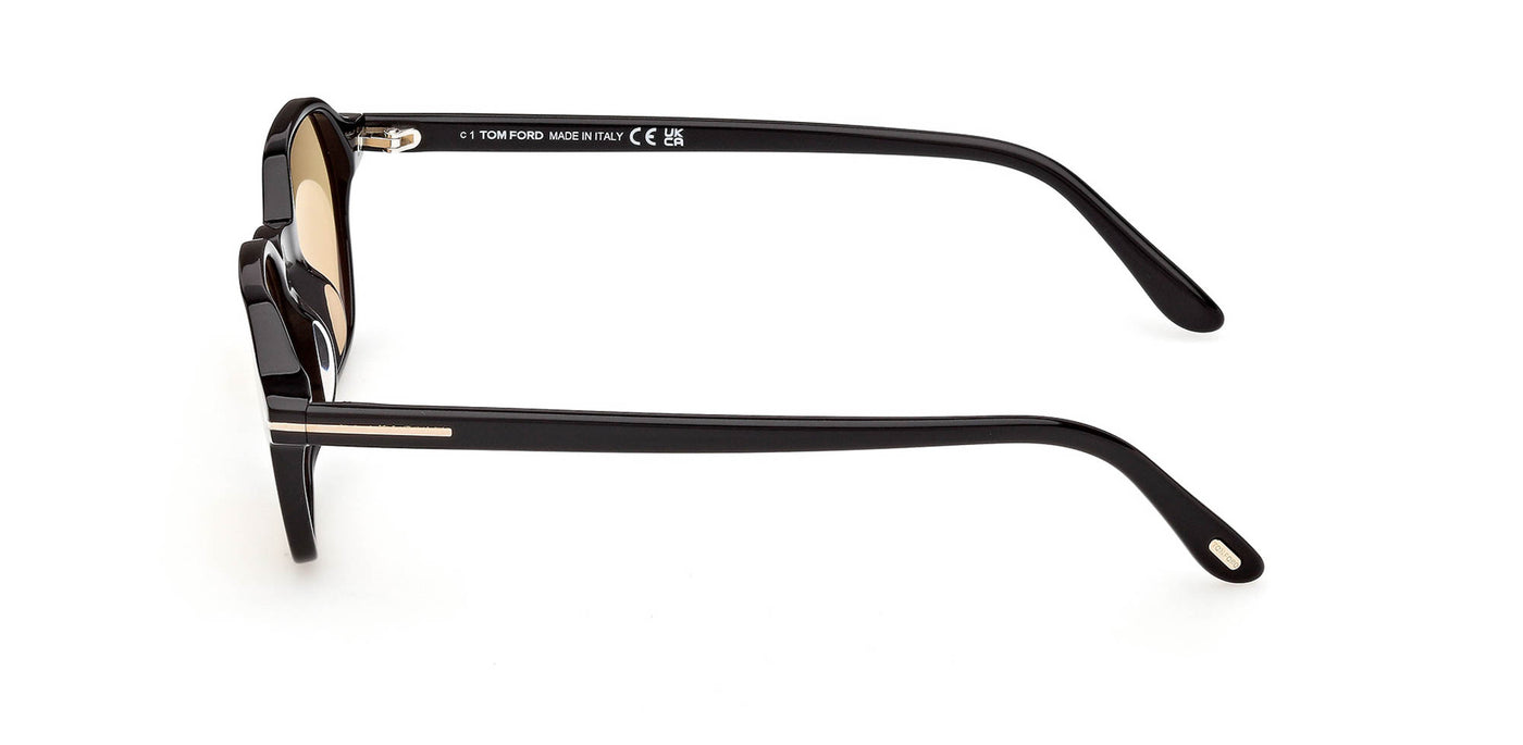 #colour_shiny-black-brown-photochromic