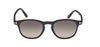 #colour_shiny-black-smoke-polarised