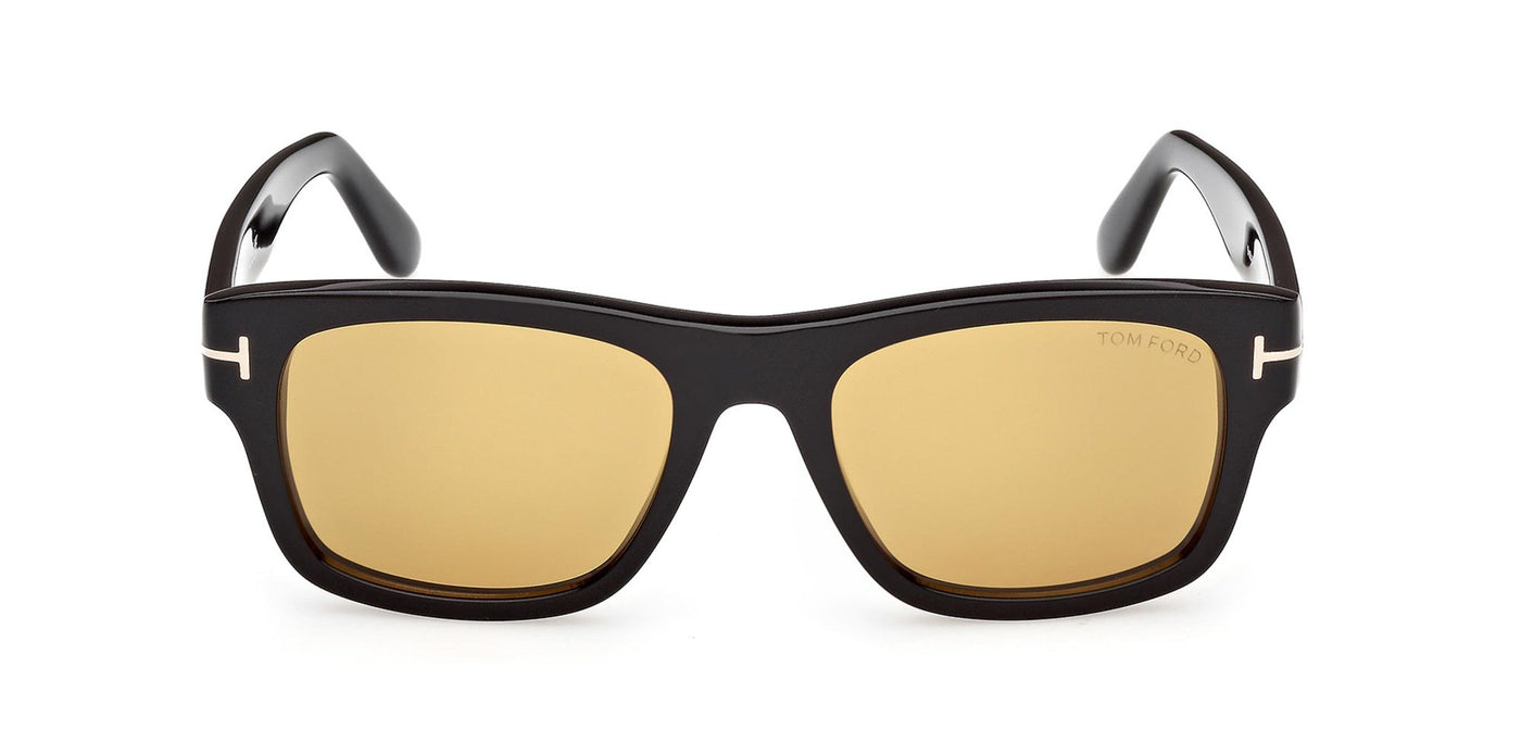 #colour_shiny-black-brown